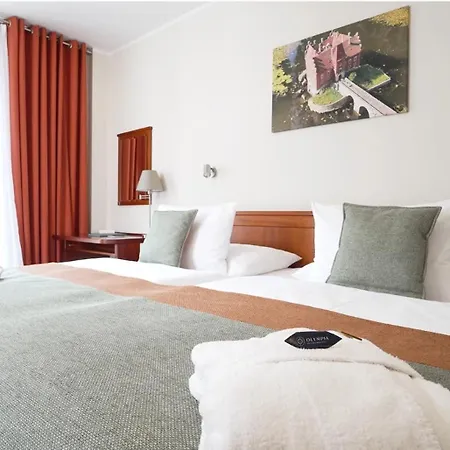 Spa&Wellness Hotel Olympia Marienbad-2
